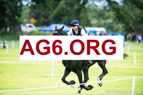 如何评价客场之旅？默里：强硬！我们每场都损失了一名球员